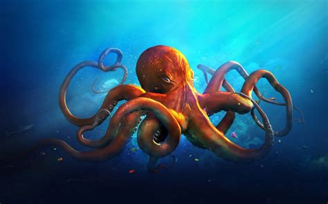 You'll find several active communities with new wallpapers posted all the. Octopus HD Wallpaper | Background Image | 1920x1200 | ID ...