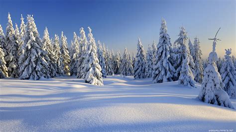 Winter Nature Wallpapers Top Free Winter Nature