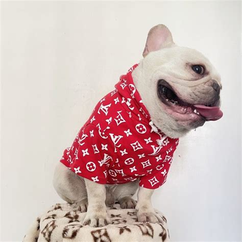 Louis Vuitton Dog Clothes New Hoodies Best Dog In Hood101