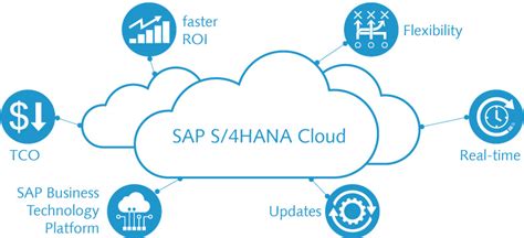 Sap S Hana Cloud Features Functions Of The Erp Solution