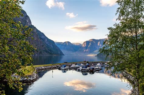 Fjord Wunderwelt Rund Um Flåm In Norwegen Norwegen