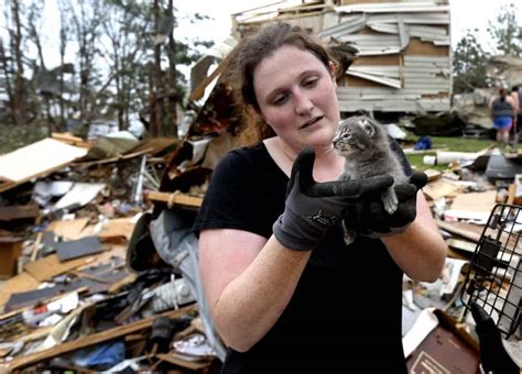 Animals That Survived In The Oklahoma Tornadoes Gagdaily News