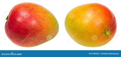 Mango Set Stock Image Image Of Yellow Summer Freshness