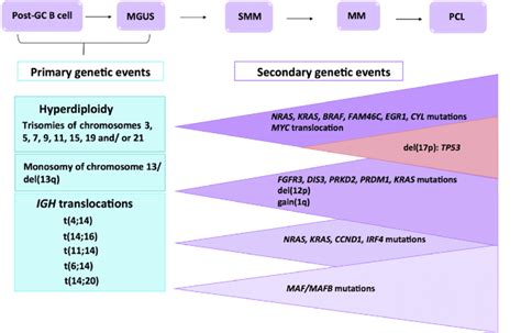 Multistep Molecular Pathogenesis Of Multiple Myeloma Mm Primary And
