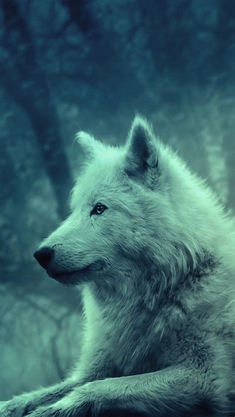 Wolf Angry Animal Hd Phone Wallpaper Peakpx