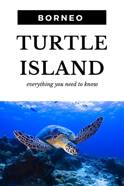 A Visit To Borneo Is Incomplete With Visiting Palau Selingan Or Turtle