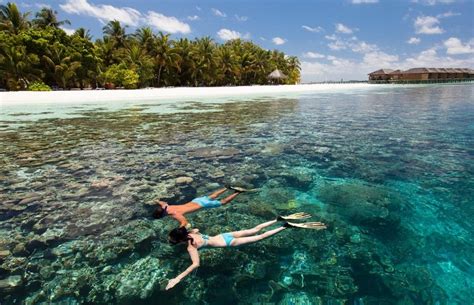 Best Maldives Resorts For Snorkeling At House Reef 2021