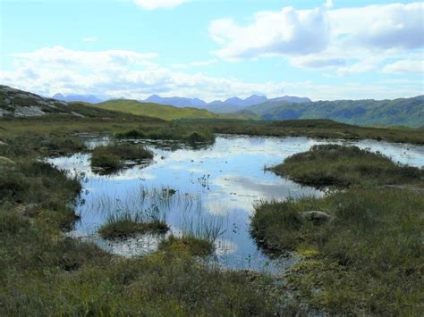 Peat Bogs Windows To The Past National Trust For Scotland