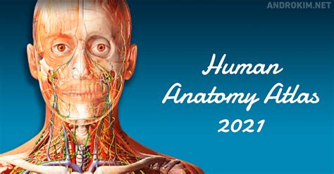 تحميل تطبيق التشريح الطبي Human Anatomy Atlas 2021 مهكر للاندرويد آخر اصدار