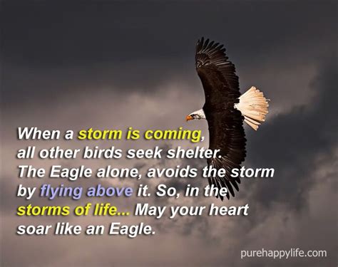 … when it rains, most birds head for shelter; Life Quote: When a storm is coming, all other birds seek shelter… | Storm quotes, Life quotes ...
