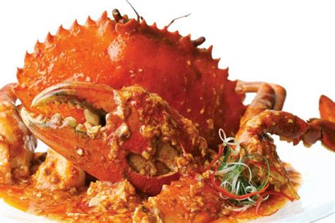 Jumbo Seafood Restaurant Famed Chilli Crab Ans Signature Journeys
