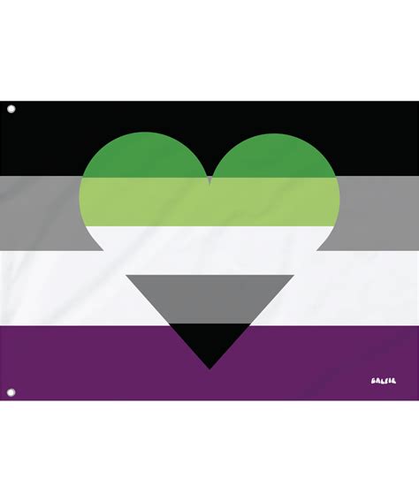 The Aromantic Asexual Flag Galfie