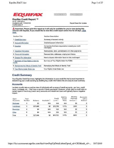 Free Credit Report Template Download And Editing Skills