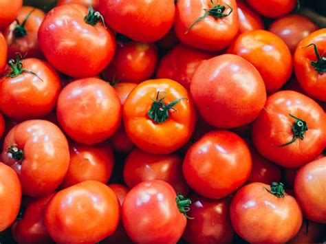 25 Types Of Tomatoes Popular Choices 2024 Northern Nester