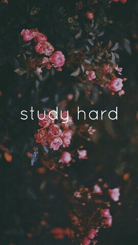 Study Hard Wallpapers Wallpaper Cave