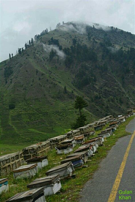 Awesome View Of Beautiful Photography Of Way On Babusar Pass Naran
