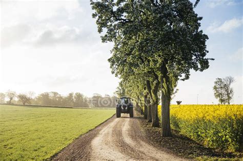 Tractor On Dirt Road — Grass Transportation Stock Photo 145100917