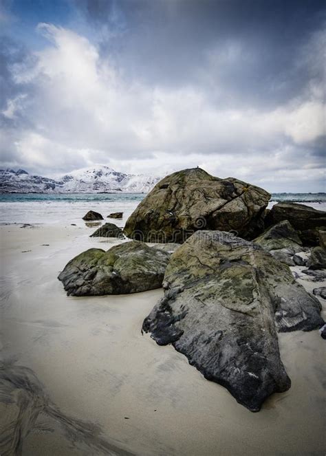 Rocky Coast Of Fjord Of Norwegian Sea In Winter With Snow Haukland