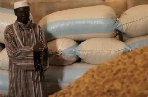 Peanuts Turn Profitable For Senegal Farmers News Al Jazeera