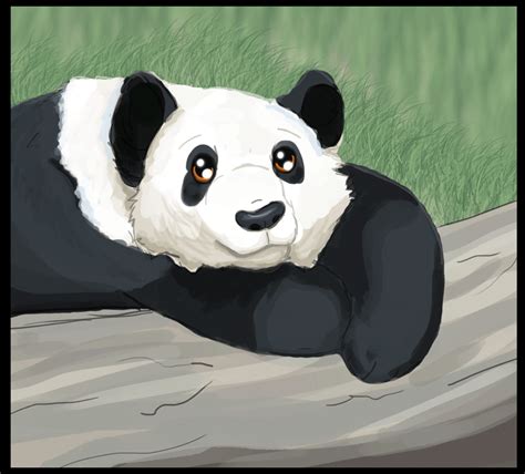 Lazy Panda Timelapse By Woolnoon On Deviantart