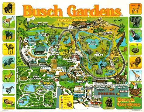 Busch Gardens Tampa Florida Curtis Wright Maps