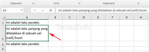 Langkah-Langkah Cepat Print Data Panjang di Excel