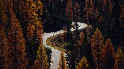 Download Wallpaper 1920x1080 Trees Autumn Road Aerial View Forest
