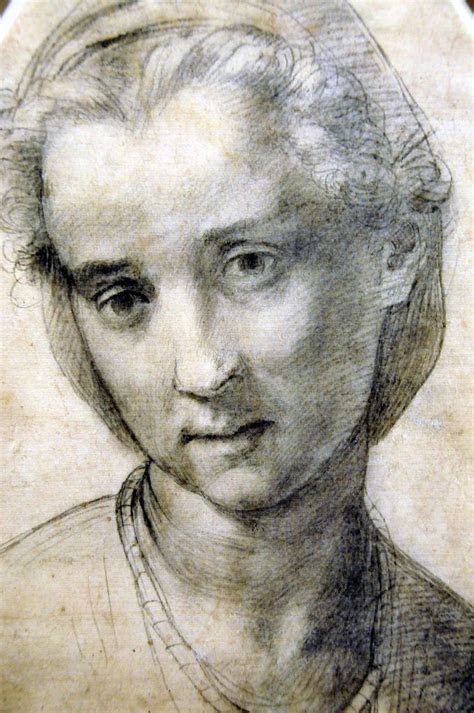 Andrea Del Sarto Head Of A Woman National Gallery Of Art