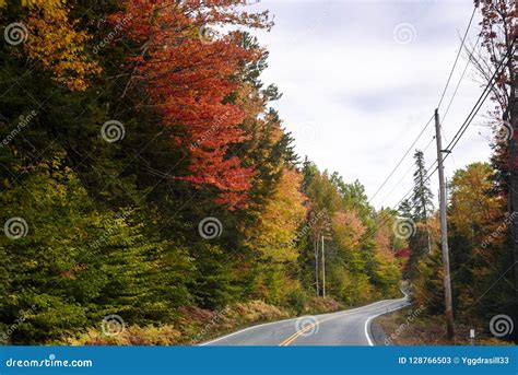 New Hampshire Road During Fall Foliage Stock Image Image Of Fall