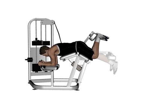 Hamstrings Workout Improve Hamstring Strength And Definition Gymguider Com Hamstring