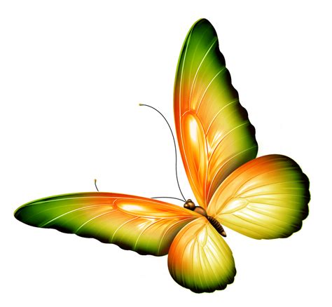 Butterfly And Flower Clipart Free Download On Clipartmag