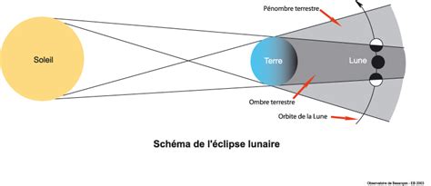 Terre verte, illustration de dessin animé de terre, terre de l'environnement, aquarelle, bleu png. Observatoire des Sciences de l'Univers Terre Homme ...