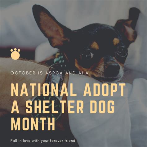 Did You Know That October Is National Adopt A Shelter Dog Month