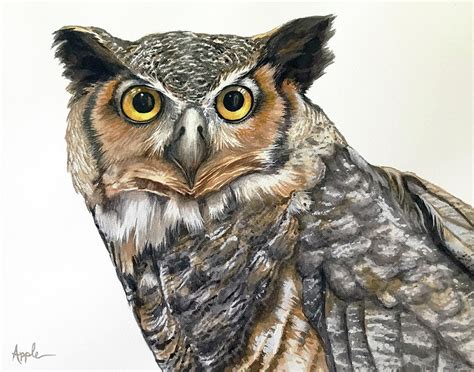 Great Horned Owl Painting By Linda Apple Fine Art America