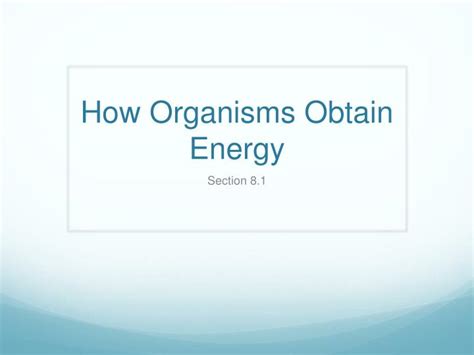 Ppt How Organisms Obtain Energy Powerpoint Presentation Free