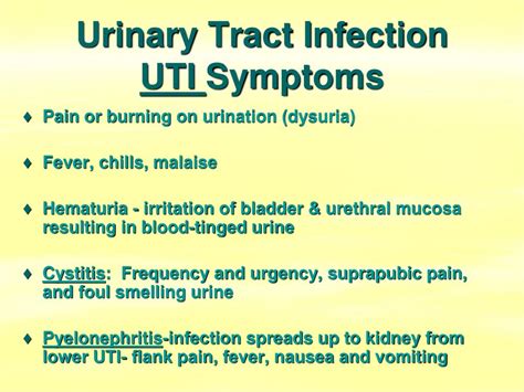 Uti Without Pain Bladder Infection Symptoms Causes Home Remedies