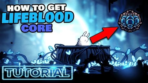 Hollow Knight How To Get Lifeblood Core Charm Youtube