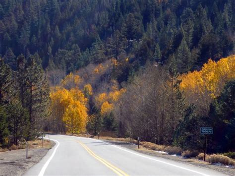 The Best Fall Foliage Can Be Found In Northern Californias Hope Valley
