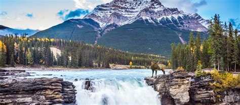Reiseziel Jasper In Kanada Enchanting Travels