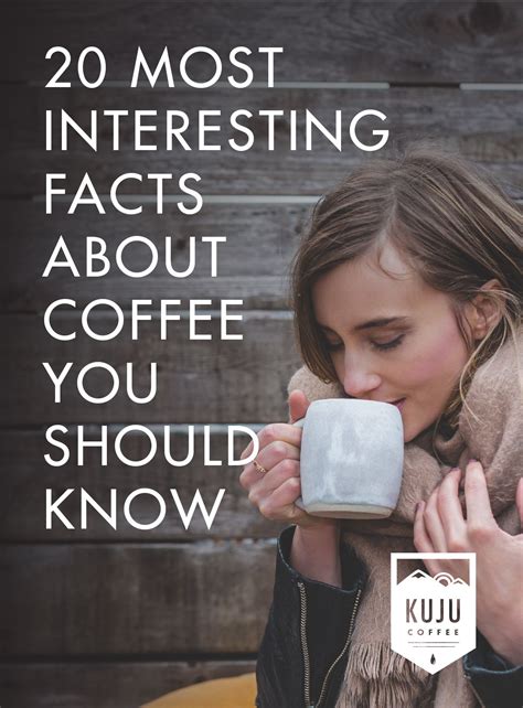 20 Most Interesting Facts About Coffee You Should Know The Kuju