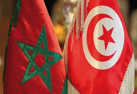 أزمة دبلوماسية المغرب يستدعي سفيره في تونس على خلفية قضية الصحراء الغربية