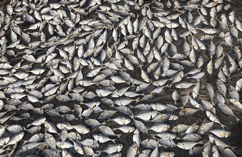 I have tried setting to flight mode then switching flight mode off. Two years on, hundreds of families await the return of ...