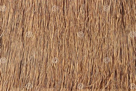 Straw Roof Texture For Background Stock Image Image Of Straw Texture