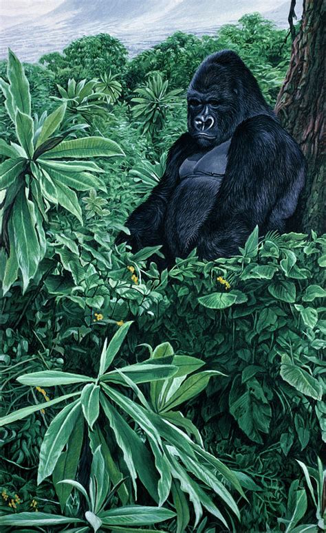 Gorilla Painting By Ron Parker Fine Art America