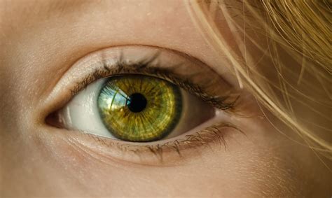 Hindari Resiko Gangguan Kesehatan Pada Mata Begini 7 Cara Menjaga Mata