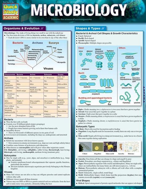 Microbiology Laminated Reference Guide Microbiology Microbiology