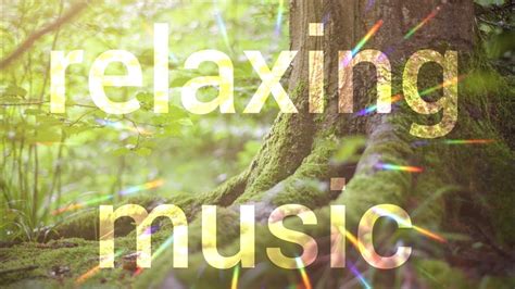 Relaxing Musicmúsica Relajante Youtube