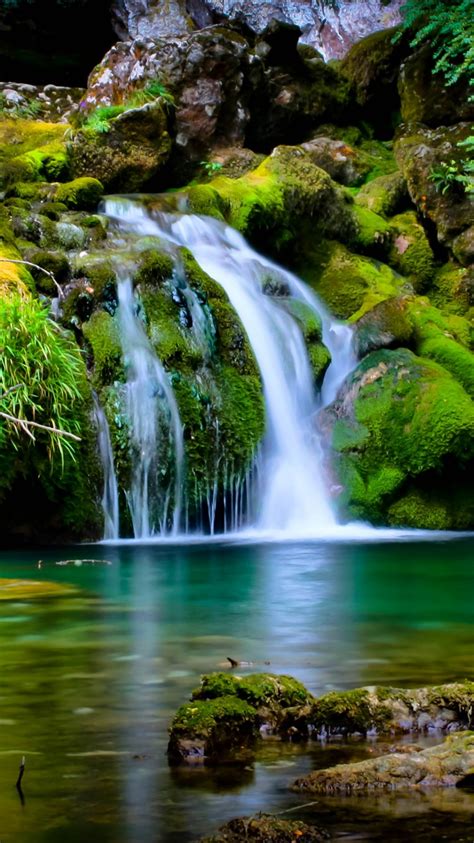 Green Covered Rocks With Green Trees Between Waterfall 4k Hd Nature