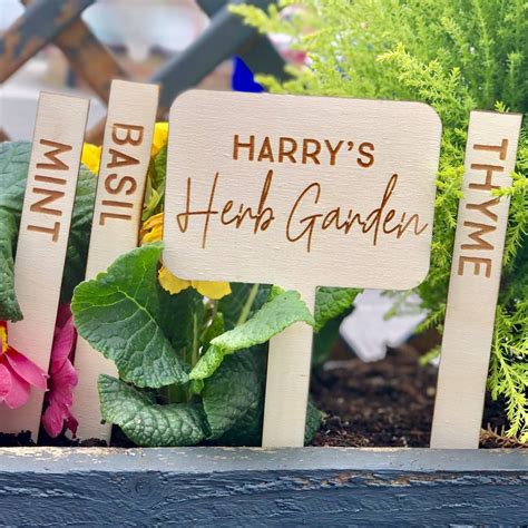 Personalised Set Of Five Herb Garden Plant Markers By The Alphabet T