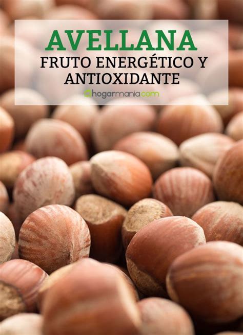 Avellanas fruto energético y antioxidante Hogarmania Recetas deliciosas Frutas y vegetales